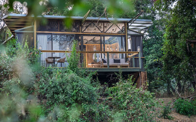 Green Safaris